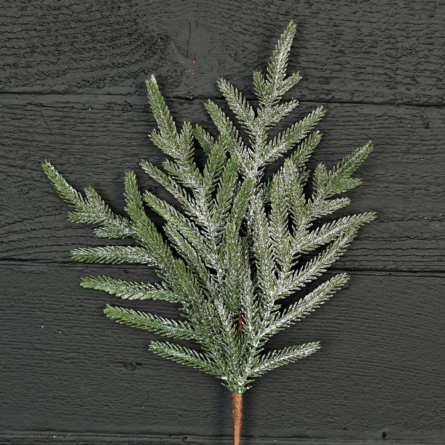 Snowy Real Touch Norfolk Pine Pick (18”)