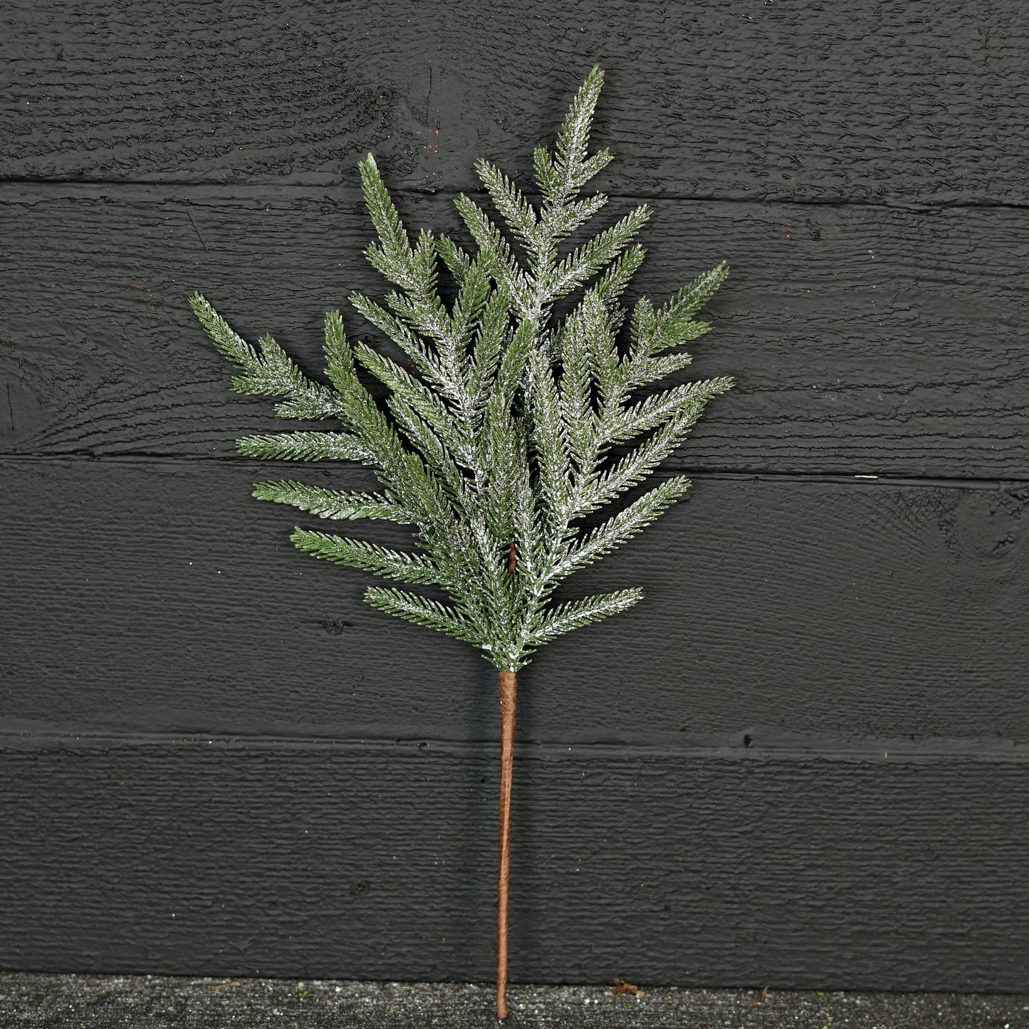 Snowy Real Touch Norfolk Pine Pick (18”)